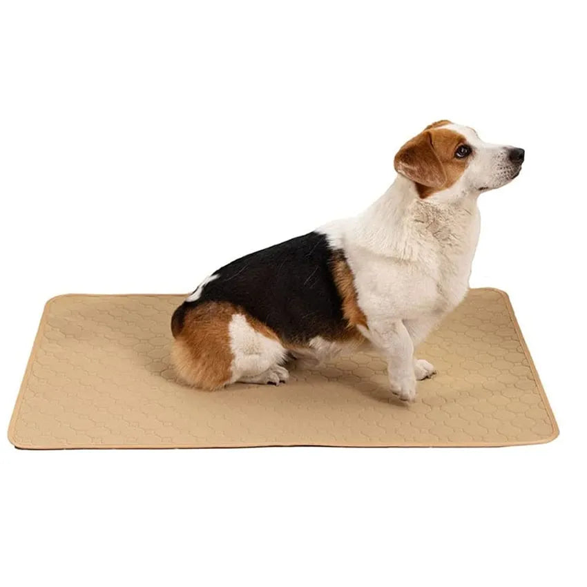 PetPad -  Reusable training mat